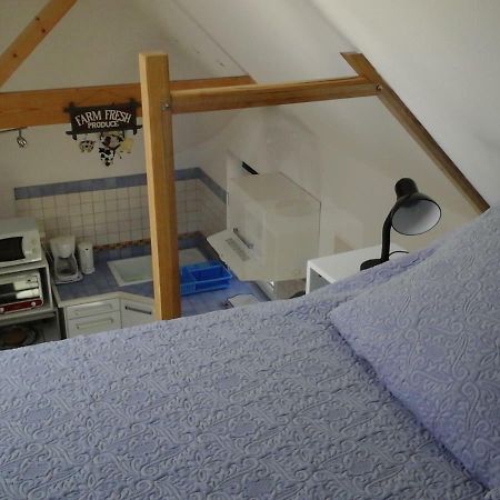 Les Hauts De Kerdrein Villa Saint-Jean-du-Doigt ภายนอก รูปภาพ